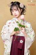 hakama00535【上下組合せ自由】【全国宅配OK】