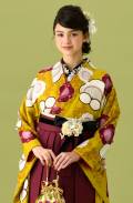 hakama00381【上下組合せ自由】【全国宅配OK】